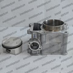  Genuine Engine Cylinder Rebuild kit Set Hyosung MS3 250