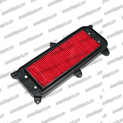 Genuine Air Filter Cleaner Daelim S-2 125 (Freewing) S-2 125 f.i S-2 250 (SQ250)