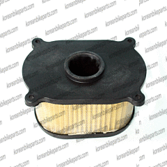 Air Filter Cleaner Carby Hyosung GT125 GT250 GT250R GT650 GV650 